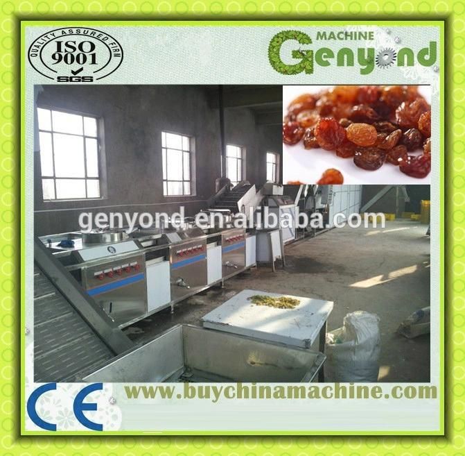 Raisin Packing Machine with Plastic Bag