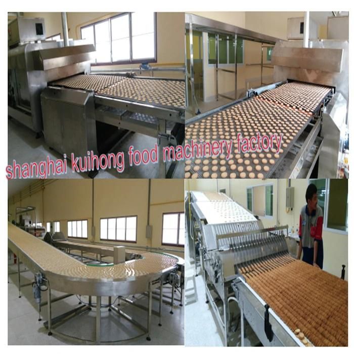 Kh-800 Biscuit Cookies Making Machine
