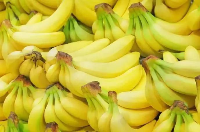 Industrial Fruit Food Dehydrator Machinery Banana Drying Machine