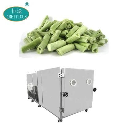 Lyophilizer Dryers Vacuum Freeze Drying Lyophilizer Vegetable Freeze Dryer