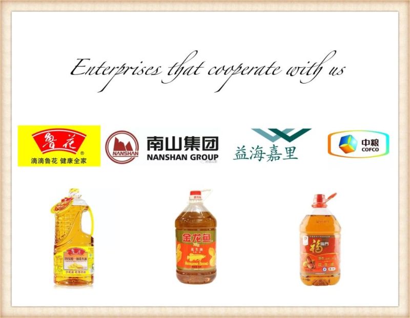 Oil Press Machine/Production Line