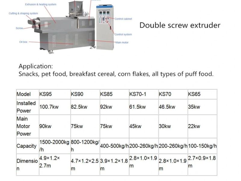 Competitive Price Round Chip Snack Processing Line