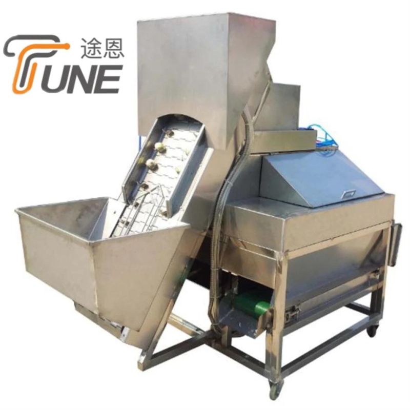 Hot Sales Small Onion Skin Peeling Machine/Automatic Onion Peeler/Onion Skin Removing Machine