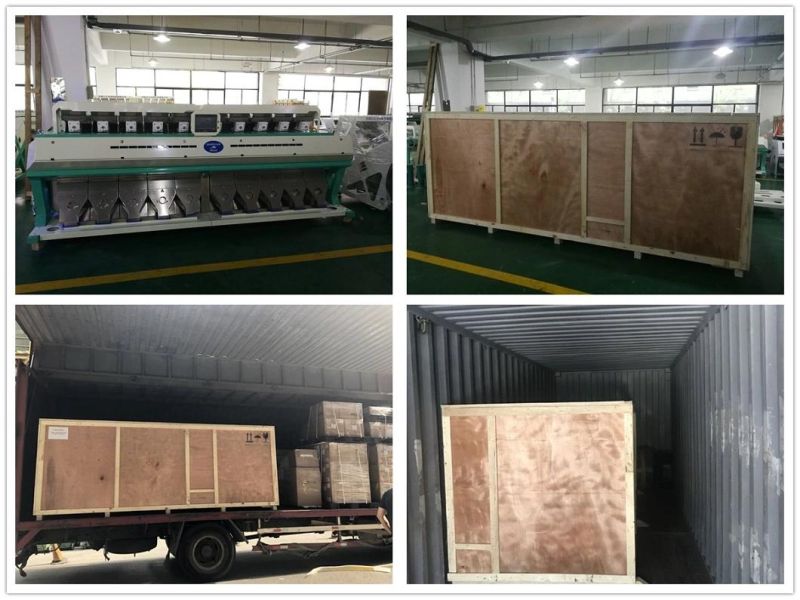 CCD Camera Optical Herb Processing Color Sorter Sorting Machine