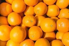 Fruits Brush Machinery Orange Brushed Washing Machine