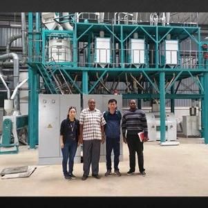 European Standard 50t/24h Maize Milling Machine for Sale