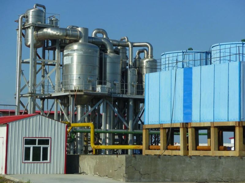 Tomato Sauce Filling Line & Tomato Sauce Packing Line