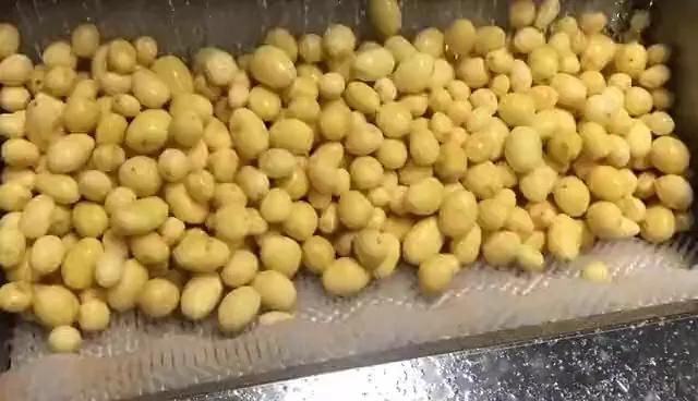 Automatic Potato Washing Peeler Drum Ginger Washing Peeling Machine