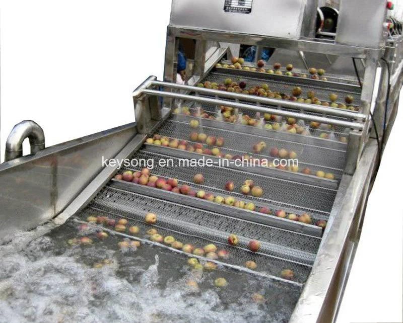 Vegetable Fruit Washing Machine
