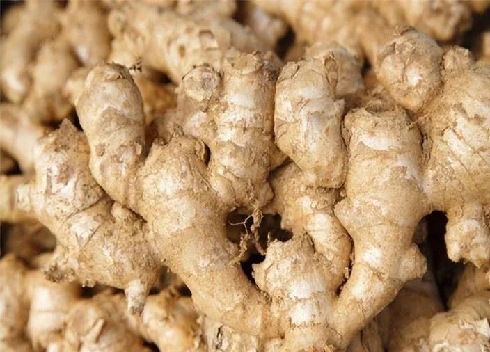 Bubble Washer and Cleaner for Vegetables Automatic Ginger Cleaning Machine