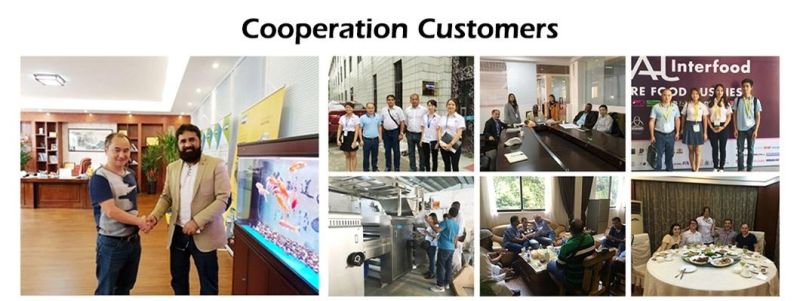 Skywin Promotion Price Hard Biscuit Tool Cracker Maker Machine Automatic Production Line