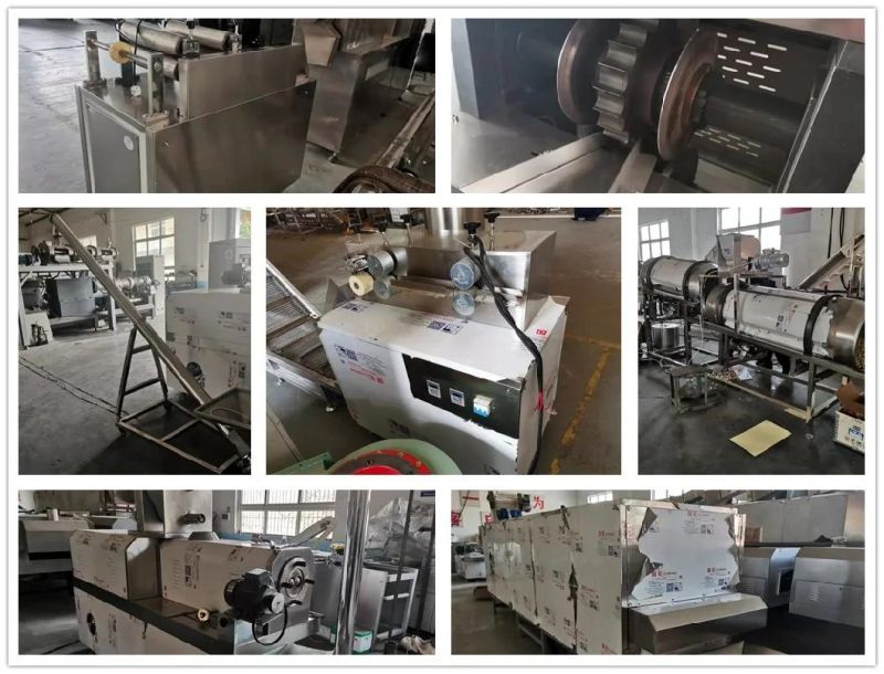 Kurkure Extruder Cheetos Crunchy Nik Naks Snack Making Machine Processing Machine Manufacturing Plant Equipment