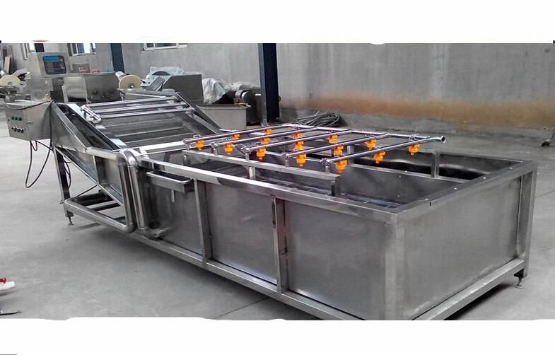Hot Sale Fruit Vegetable Air Bubble Washing Machinery