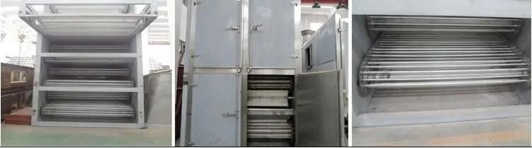 Industrial Fruit and Vegetable Mesh Belt Dehydrator