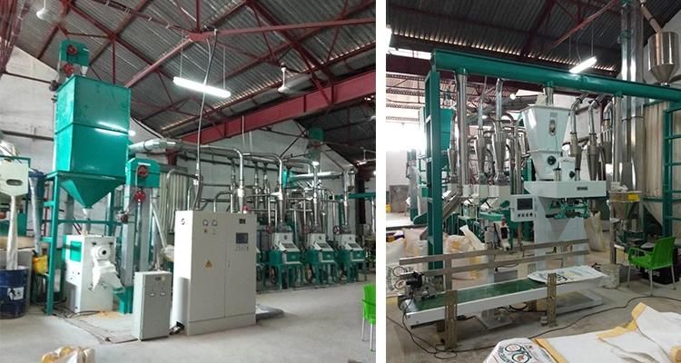 10 Ton Per 24h Maize Grinding Mill for Sale Zimbabwe