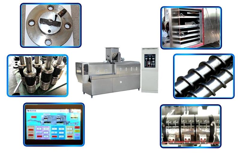 Automatic Pet Food Extrusion Machine Floating Fish Feed Pellet Machine Dry Dog Food Machine