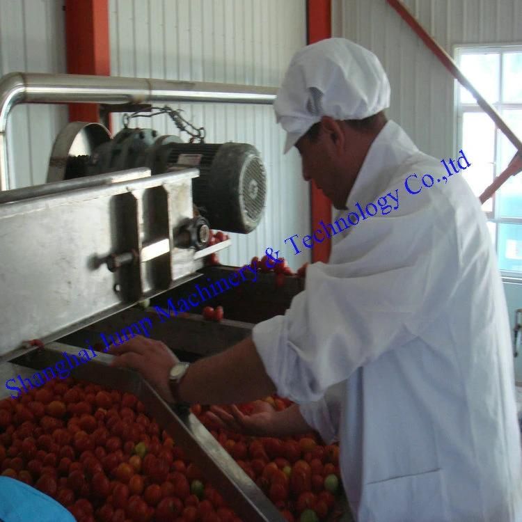 Mango Pulp Puree Tube in Tube Sterilizer