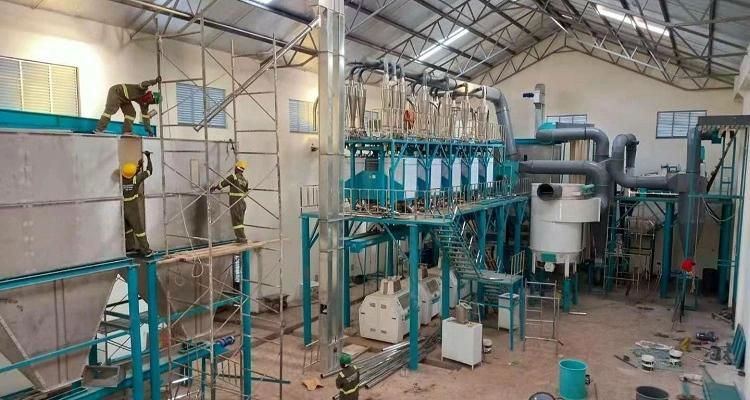 Factory 50t Corn Maize Milling Mill Machine on Promotion