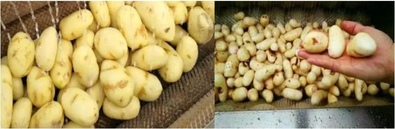 Continuous Carborundum Roller Washing Peeling Machine Automatic Potato Peeler Machine