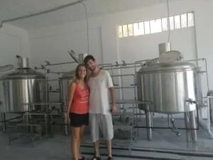 Craft Beer Equipment for Brewing System Stainless Steel Copper Pub Brewery Micro 2-3bbl ...