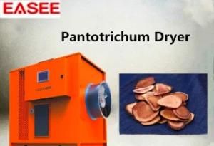 Agricultural Machinery Food Processing Drying Equipment Automatic Pantotrichum Dryer