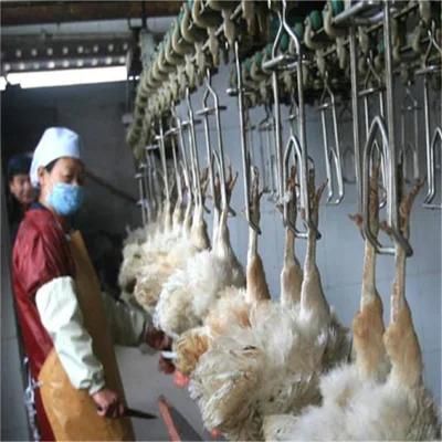 Poultry Slaughtering Equipment Chicken Feet Skin Peeling Machine