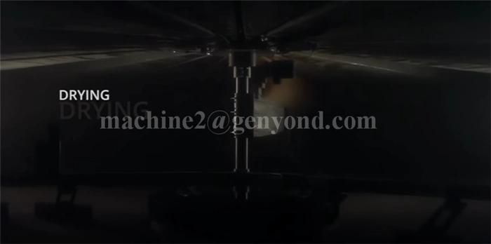 Complete Pure Kiwi Fruit Powder Making Line
