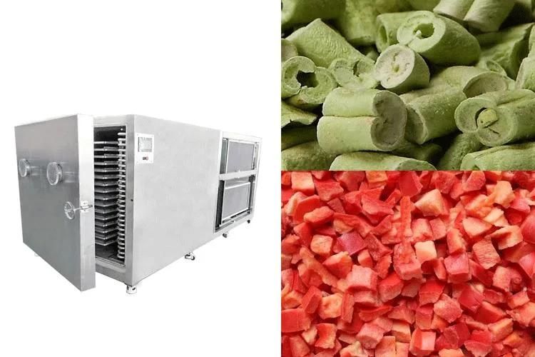 Lyophilizer Dryers Vacuum Freeze Drying Lyophilizer Vegetable Freeze Dryer