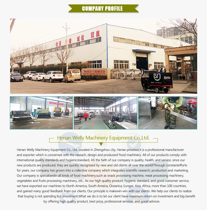 China Frozen French Fries Machinery with Best Price