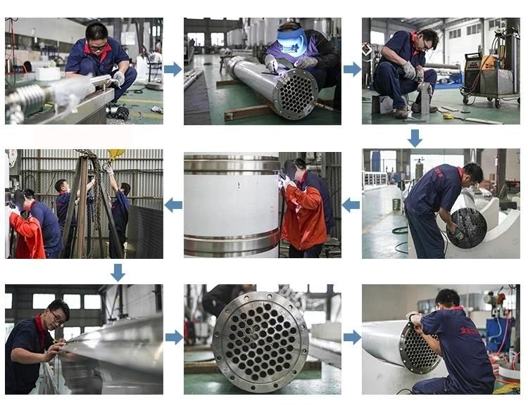 Mango Pulp Puree Tube in Tube Sterilizer