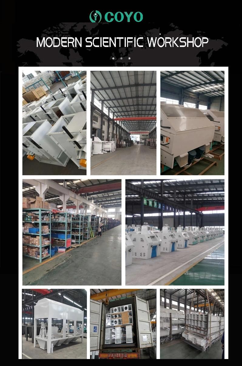 Wheat Mill High Quality Wheat Brushing Machine