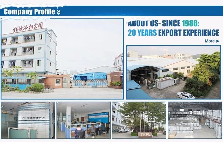 Commercial Electric Rotisserie Business Application Stainless Steel Rotary Electric Chicken Rotisseries