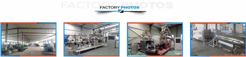 Delicious Corn Chip Manufacturing Machine