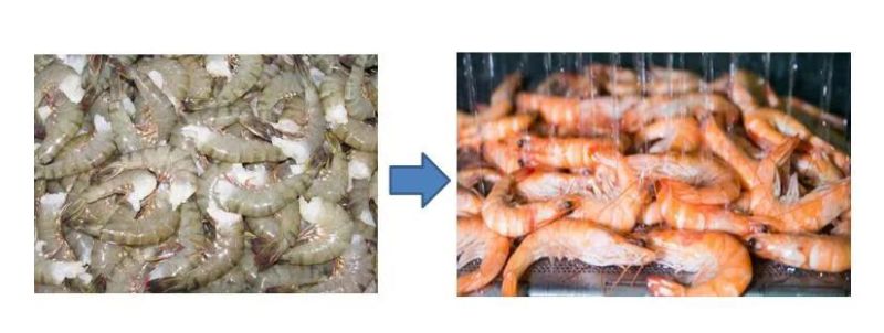 Prawn Blanching Machine Prawn Cooking Machine and Line Prawn Cooking Machine