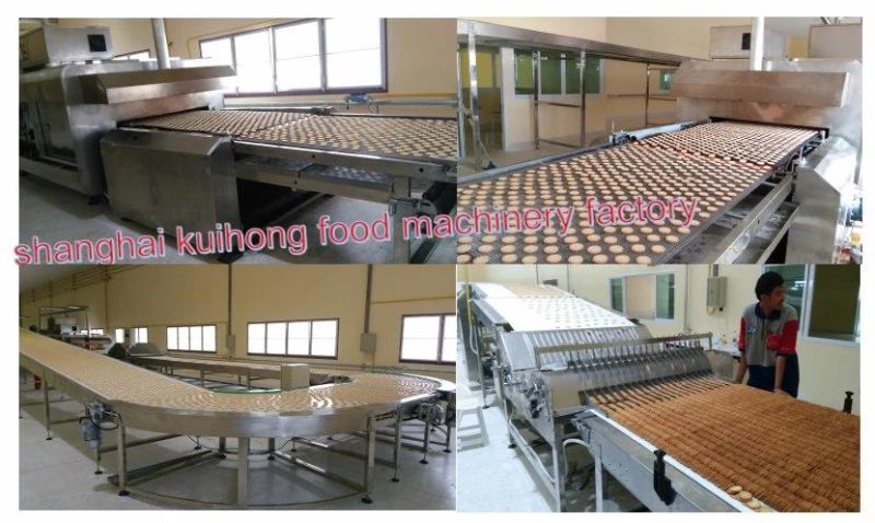 Kh-800 Biscuit Cookies Making Machine