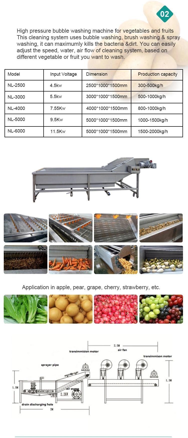 Stainless Steel Apple Ginger Carrot Potato Fruit and Vegetable Bubble Washing Equipment