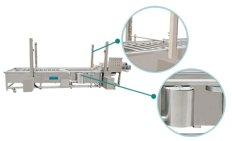 Vegetable Washer Vegetables Rinsing Machinery Chili Pepper Bubble Washing Machine