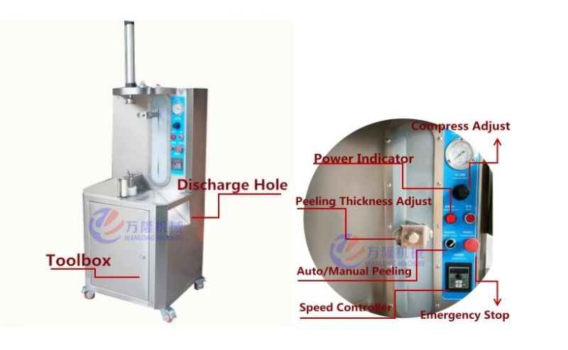Automatical Fruit Pumpkin Pineapple Peeler Water Melon Peeling Machine Melon Peeler Machine