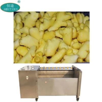 Industrial Ginger Washing and Peeling Machine