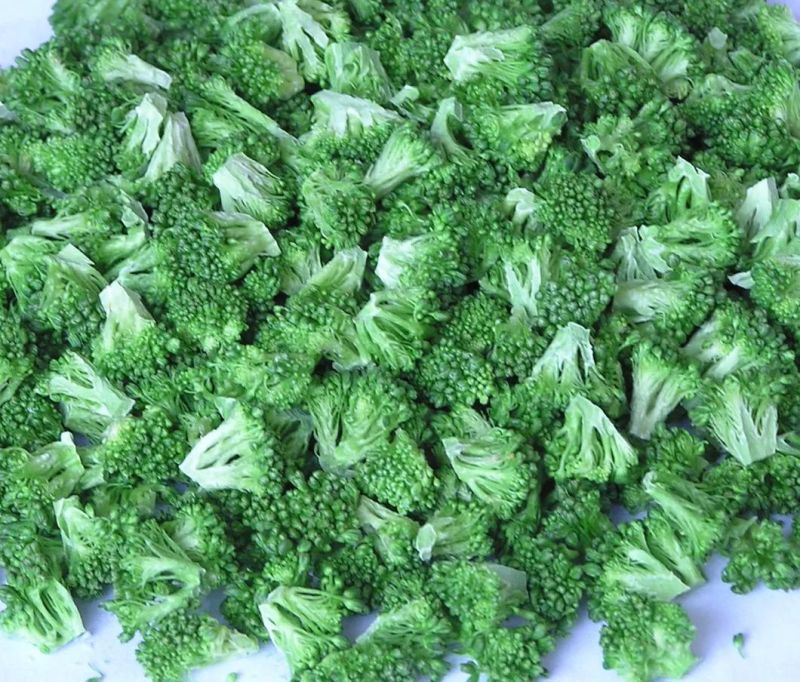 Vacuum Freeze Dryer Lyophilizer Machine Dried Broccoli Freeze Dehydrator