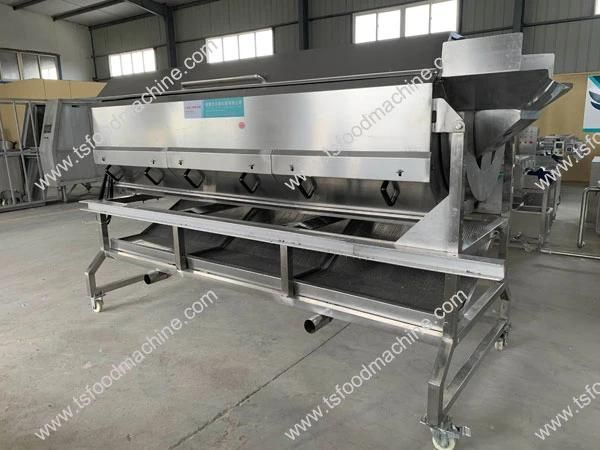 Automatic Potato Washing Peeler Drum Ginger Washing Peeling Machine
