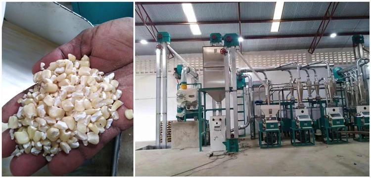 Hongdefa 10t Per 24h Maize Milling Machines South Africa