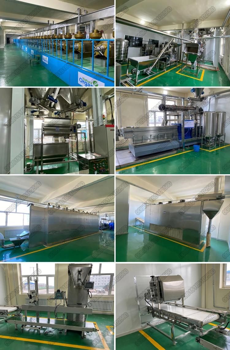 Vegan Soy Textured Beef Slice Tvp Minced Protein Making Machine