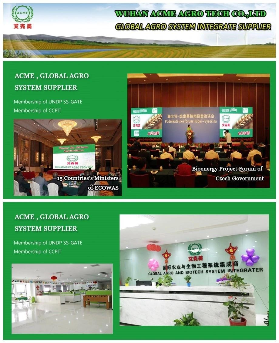 Oat Processing Machinery Barley Roller Flattening Machine