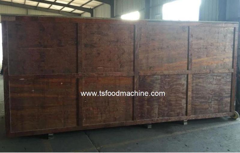 Automatic Commercial Ozone Fruit and Vegetable Washer