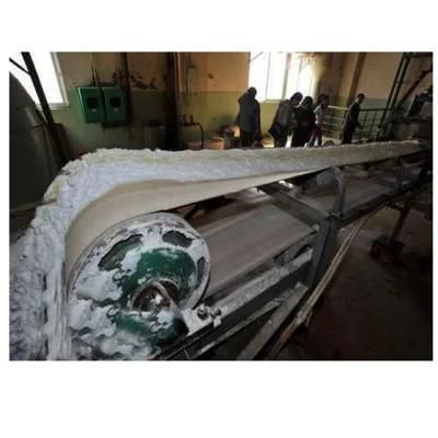Genyond Salt Production Line
