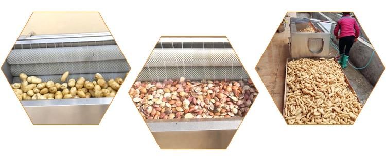 Beet Peeling and Washing Cleaning Machinery Beetroot Peeler Machine