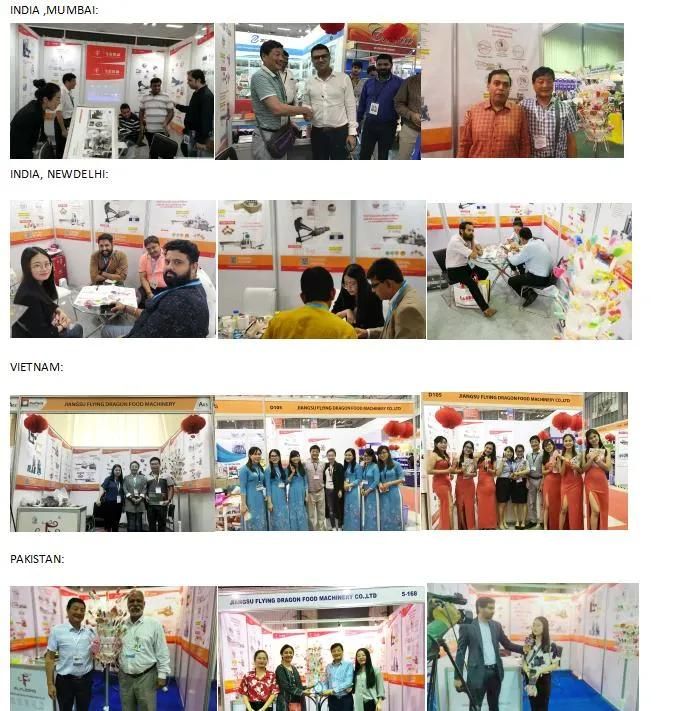 Fld-Rainbow Lollipop Production Line, Candy Machine, Candy Making