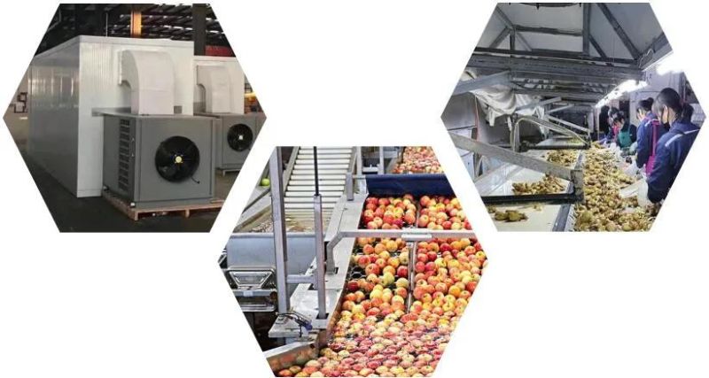 Dehydrating Machinery Drying Vegetable Industrial Tray Dryer Moringa Drying Machine