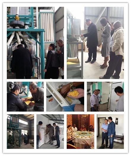 Africa Ugali Nshima Fufu Maize Flour Milling Plant
